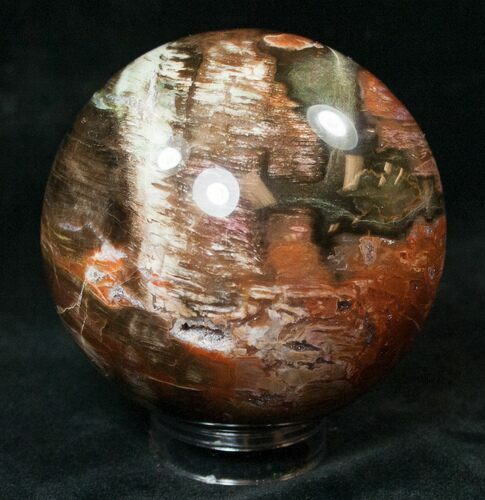 Colorful Petrified Wood Sphere #15111